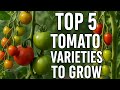 TOP 5 Tomato Varieties To Grow At Home