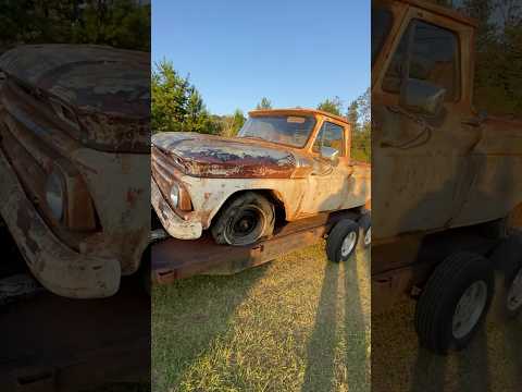 Thumbnail for Brought home a barn find 1965 Chevy C-10. Let’s see if we can breath some life back into it