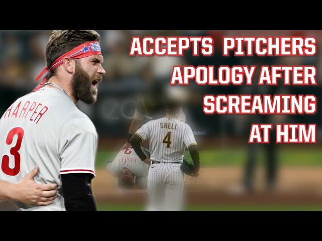 Harper gets hit and then screams at the pitcher, a breakdown
