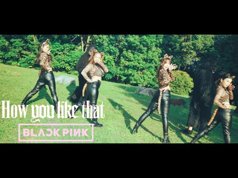 BLACKPINK - 'How You Like That' | Dance Cover (Cats ft. King Kongs Version)