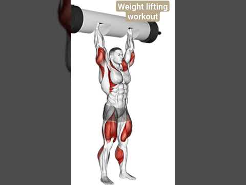 gym workouts | weight lifting #shorts #youtubeshorts #fitness #animation