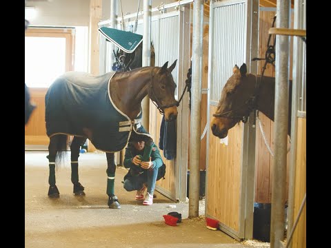 The making of - 40 Years of Snow Polo World Cup St. Moritz