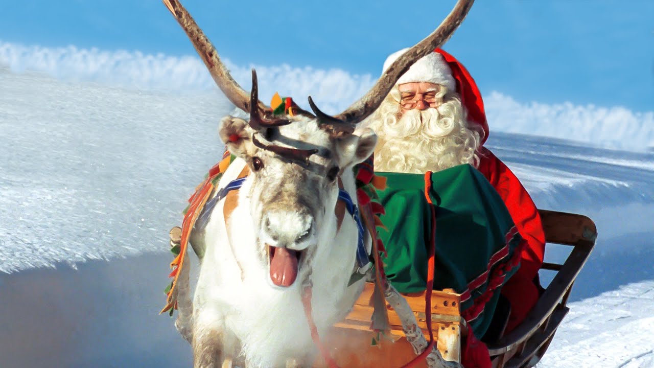 Ten Interesting Facts about Reindeer
