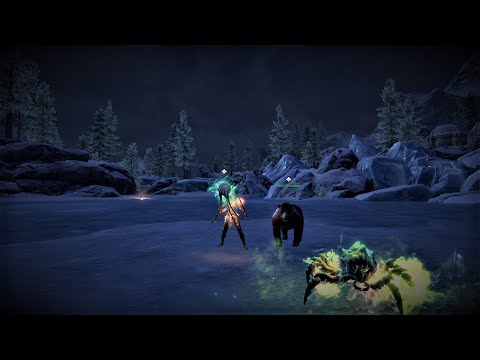 Stamina Warden DPS - "Wildling" - Stonethorn