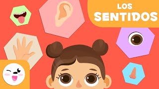 Los Cinco Sentidos para Niños | Smile and Learn - Español | Printables