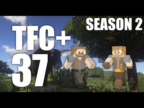 TerraFirmaCraft+ Season 2 Episode 37