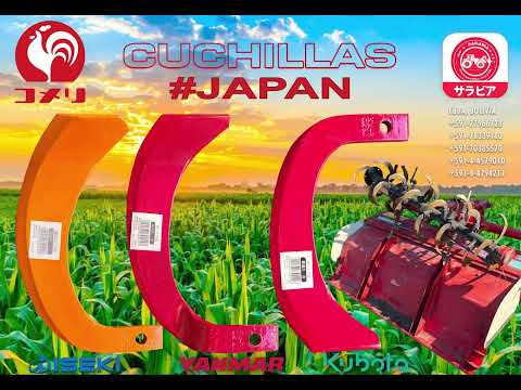 CUCHILLAS - EMP SARABIA. SAN BENITO, COCHABAMBA, BOLIVIA.