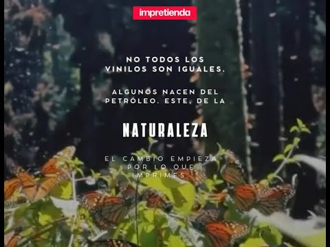 El primer vinilo vegetal FR A2 libre de burbujas | BIOND