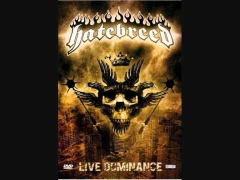 11. Hatebreed - Betrayed by Life (Live DOMINANCE)