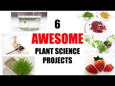 10 Awesome Plant Science Projects