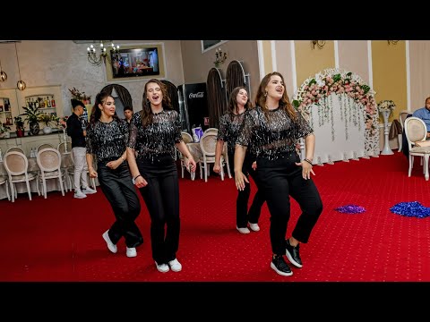 Episodul 5 - VIAȚĂ DE ARTIST ÎN DEVENIRE (SHINY GIRLS SHOWS)