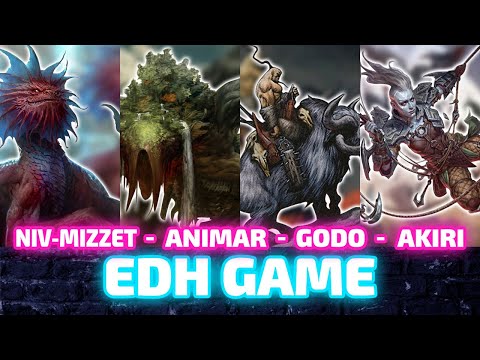 Niv Mizzet vs Animar vs Godo vs Akiri [EDH/Commander] Gameplay 2020