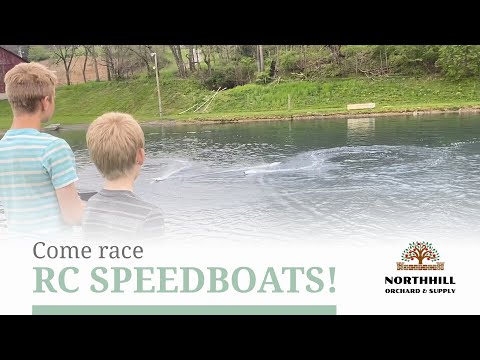 Pro Boat React 17 Self-Righting Deep-V Brushed RTR | Remote Boats For Rent At Northhill Orchard!