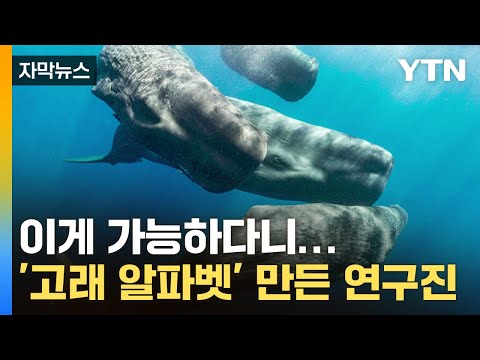 아이콘