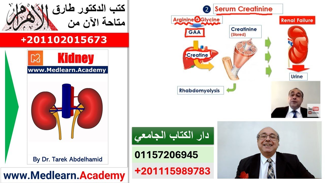 Renal ( Kidney) Function Tests  #cme #internal_medicine  #usmle #medical #محاضرات_باطنة