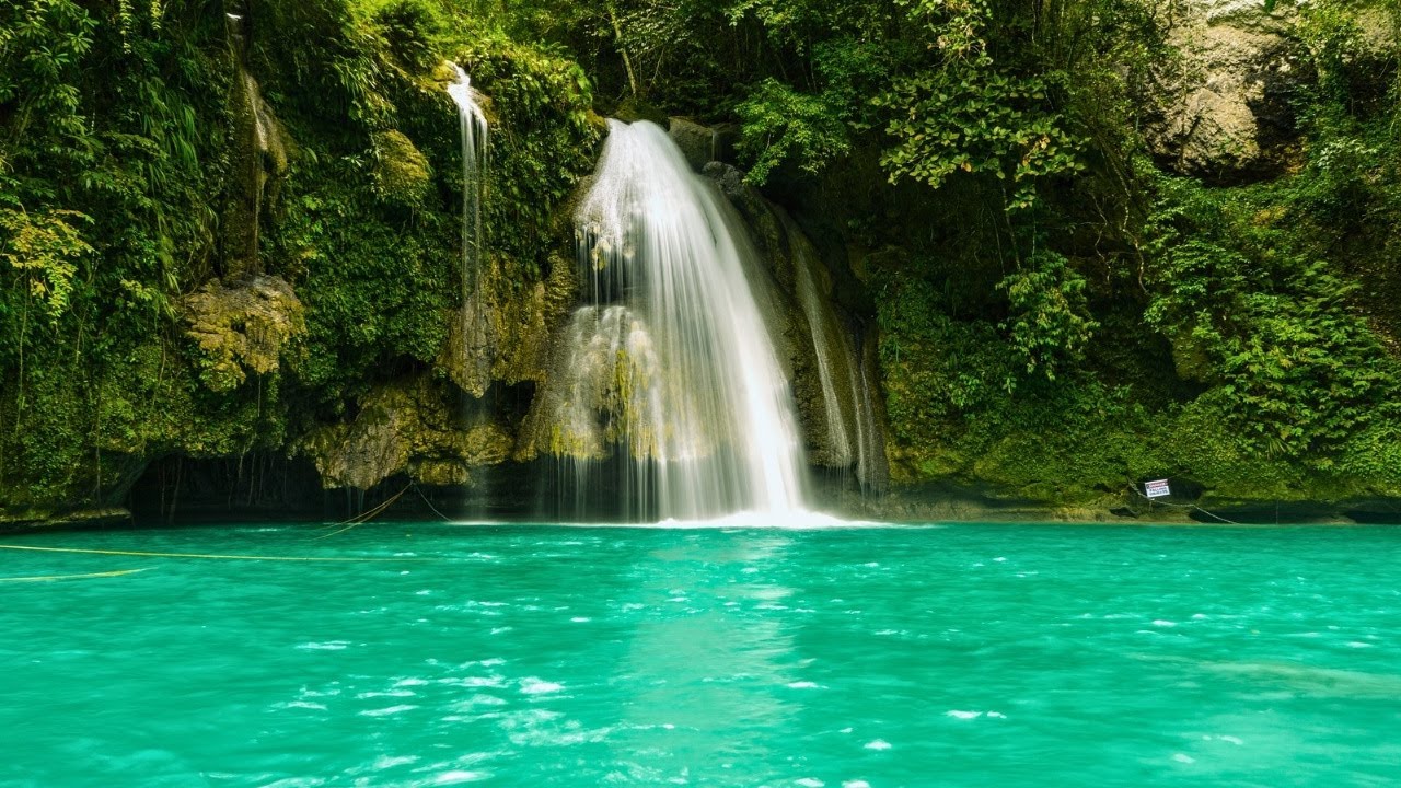 😎😎24/7 Relaxing Music | Peaceful Music To Calm Your Mind And Relieve Anxiety🧘🏻‍♀️🧘🏼 🌿