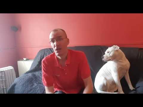 The Dispensary CBD - Amnesia Haze CBD Flower Review