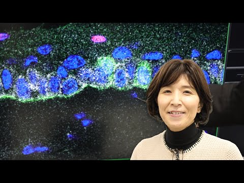Meet Emi Nishimura – Studying skin to ease aging (Audio:EN, Subs:EN|JP)