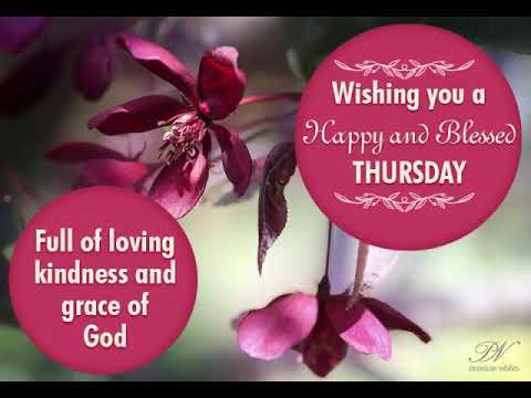 Happy Thursday 🌸 Beautiful Thursday Wishes to Share Positivity