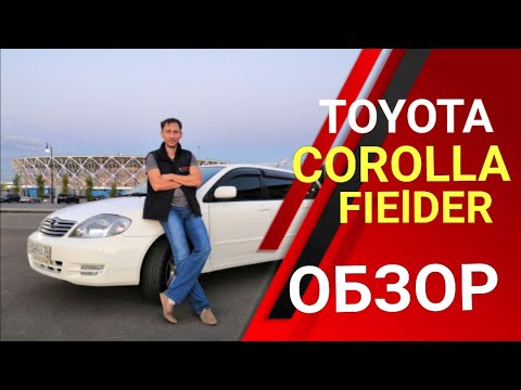 Corolla Fielder?! Старый конь борозды не испортит
