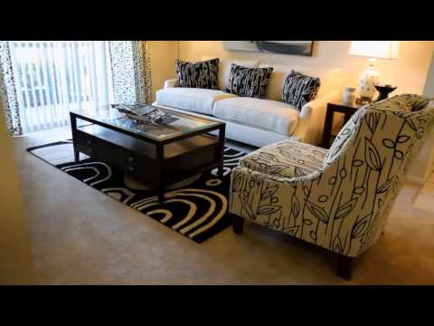 Avery Pointe at Cityview Apartments