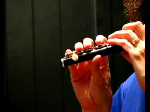 Burkart Custom Handmade Grenadilla Wood Piccolo For Sale (Used) - Sound Demo