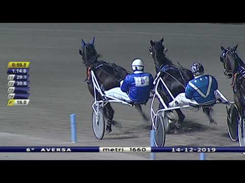 Aversa trotto 14 Dicembre 2019 - 6° Corsa