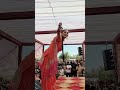 GOLI CHAL JAVEGI SAPNA CHAUDHARY SUPER DANCE