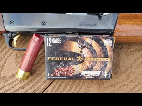 Remington vs Black Cloud vs Winchester vs Federal (4 Shot Comparison)