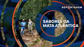 Caminhos da Reportagem | Sabores da Mata Atlântica