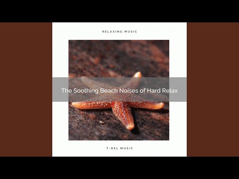 The Perfect Beach Noises of Hard Relax