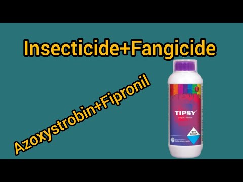 GHARDA TIPSY (Azoxystrobin 10% + Fipronil 5% wiv SC), Bottle