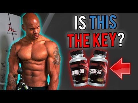 download lagu mp3 mp4 11 Ketotestosterone For Sale, download lagu 11 Ketotestosterone For Sale gratis, unduh video klip 11 Ketotestosterone For Sale