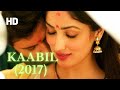 India Kaabil 2017 Action Crime Romantic Thriller Andy Movie Recap