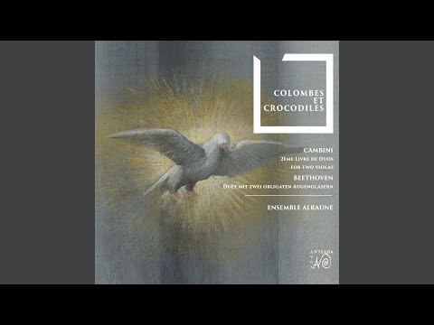 Duet mit zwei obligaten Augengläsern Woo 32 01, I. Allegro