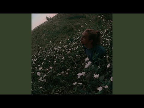 Miniatura de кукушка (cuckoo)