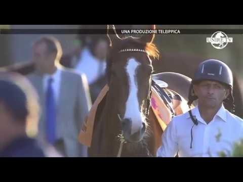 MOMENTI DI... OAKS D'ITALIA