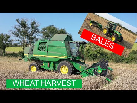 HARVESTING WHEAT, CARTING GRAIN AND BALING STRAW. FINISHING UP HARVEST 2021