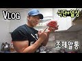VLOG #5 [일상/식단/하체운동] 조제알통의 하루! [HD] 소고기 OR 닭가슴살?