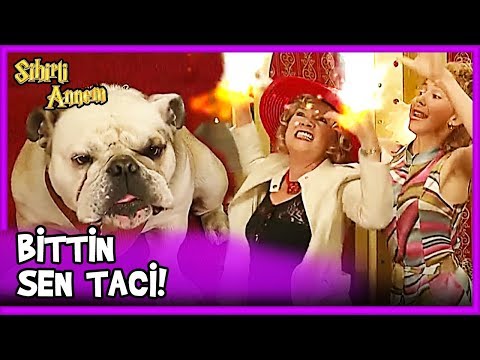 Dudu, Taci'yi Bırakıp Amerika'ya Gidemedi - Sihirli Annem 16. Bölüm