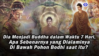 Download lagu Dia Menjadi Buddha dalam Waktu 7 Hari. Apa Sebenarnya yang Dialaminya Di Bawah Pohon Bodhi saat itu? mp3 Download lagu Dia Menjadi Buddha dalam Waktu 7 Hari. Apa Sebenarnya yang Dialaminya Di Bawah Pohon Bodhi saat itu? mp3