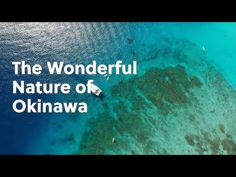 The Wonderful Nature of Okinawa