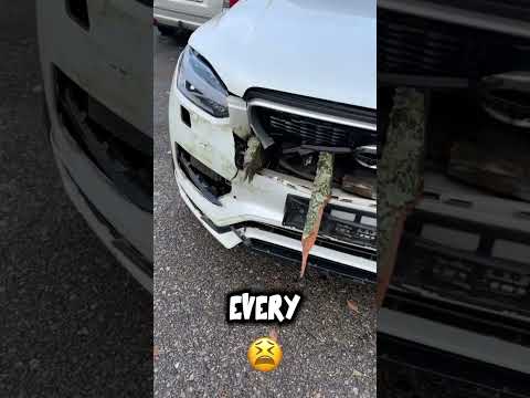 Volvo XC90: The Car Where No One Dies?