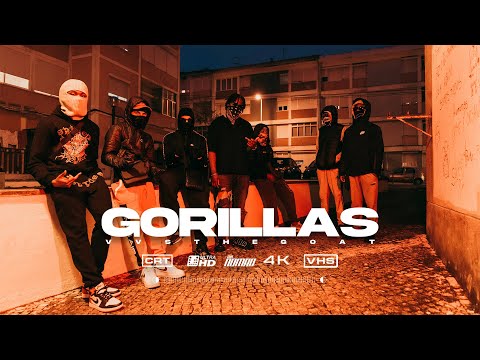 VVSTHEGOAT - Gorillas (Official Video)