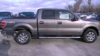 preview picture of video '2013 FORD F-150 Sterling Heights MI'