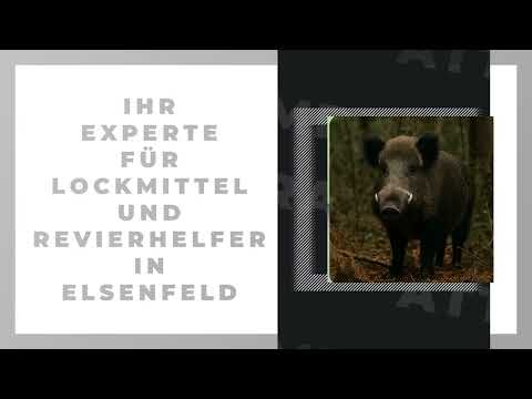 AttraTec GmbH YouTube-Vdeominiatur 6