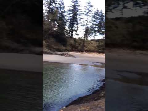 Cute little beach spot!