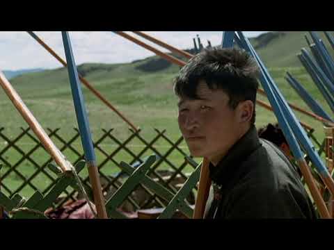 Director of the Week: Byambasuren Davaa