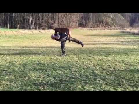 Elton av Staalhjerte