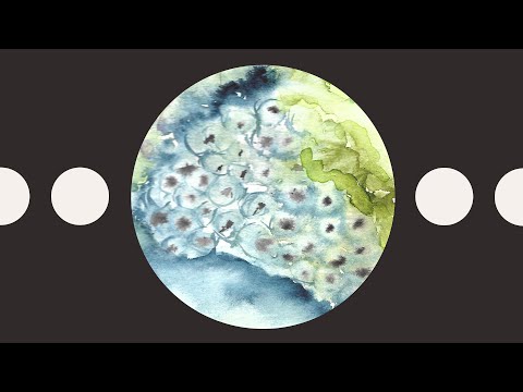 Distilled Noise - Microdense